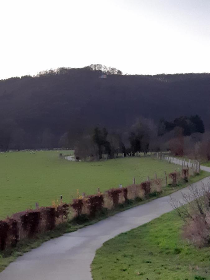 Bed & Breakfast Vallee De L'Ourthe Marcourt Exteriör bild